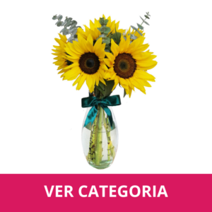 Girasoles